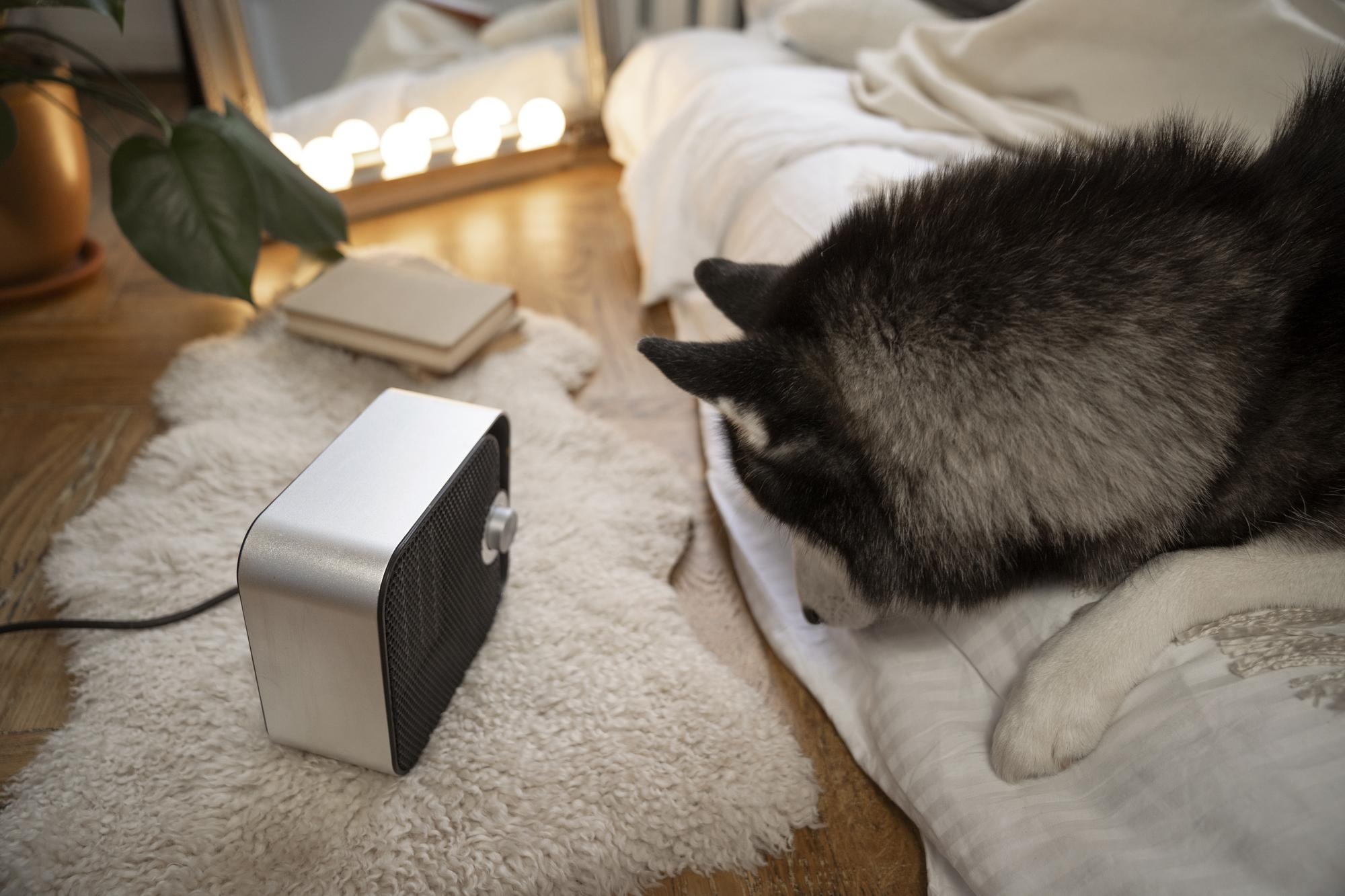 Burglar Alarms and Pets: Ensuring Compatibility